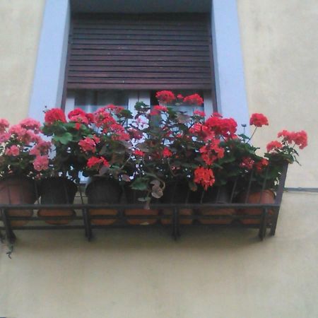 La Casa Dei Fiori Apartment Vetralla Exterior photo