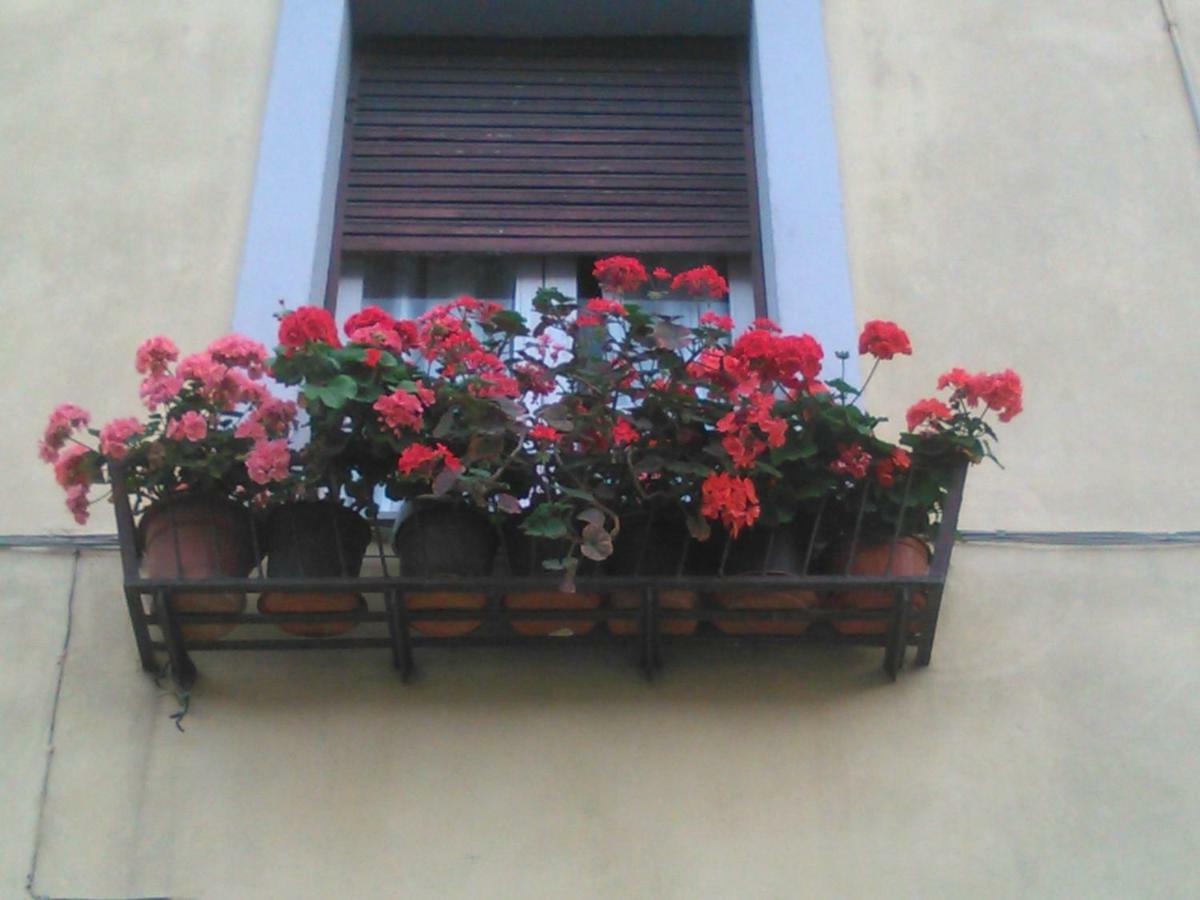 La Casa Dei Fiori Apartment Vetralla Exterior photo